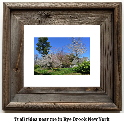 trail rides near me in Rye Brook, New York